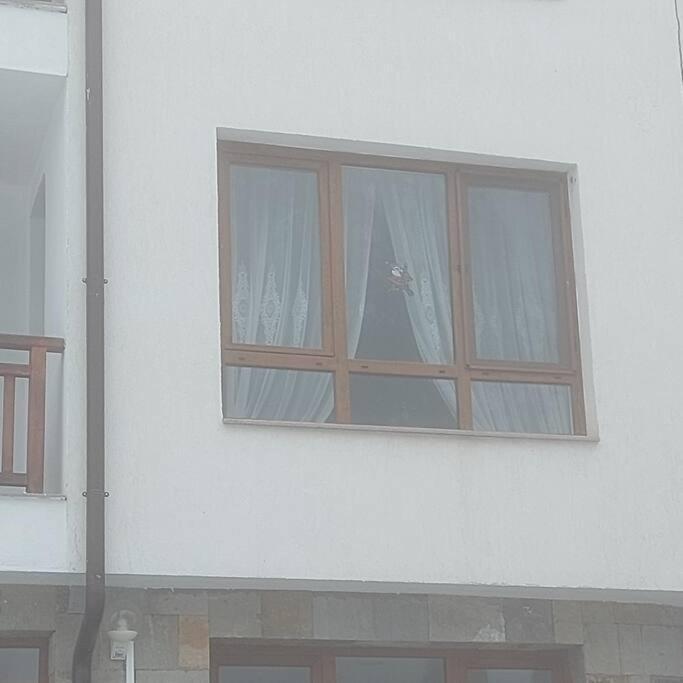 Ferienwohnung Семи Гарден Borowez Exterior foto